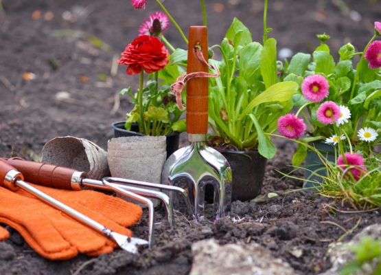 Comment préparer son jardin avec l’arrivée du printemps ?