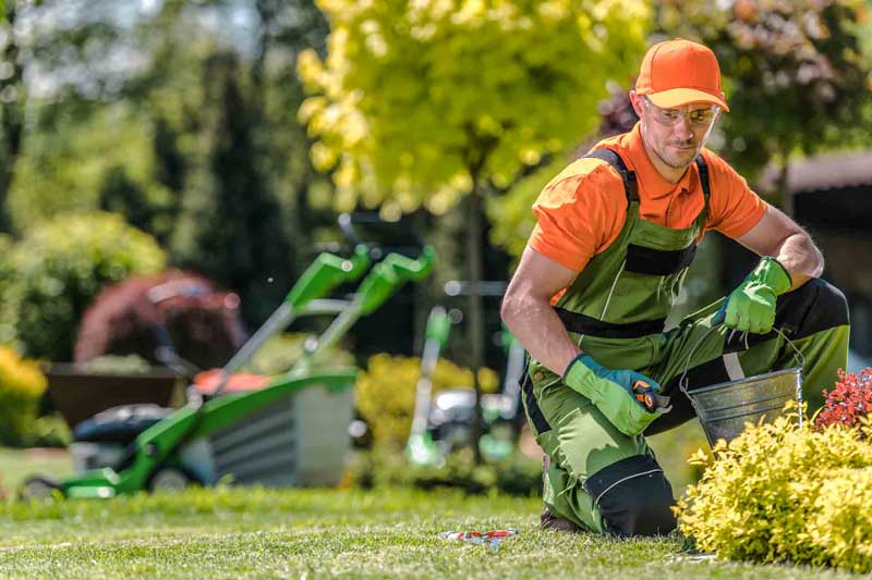 Entretien de vos espaces verts