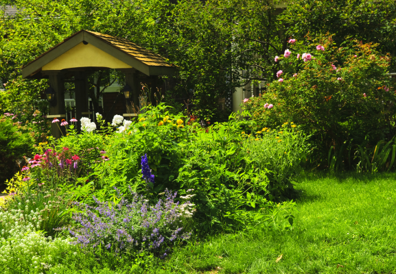 Herbes hautes entretien jardin JDNET