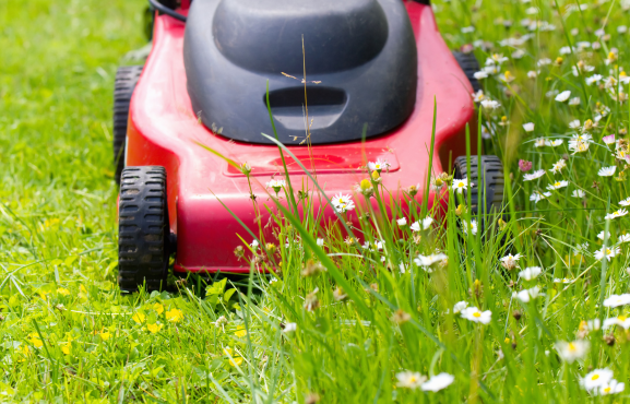 Entretien jardin JDNET
