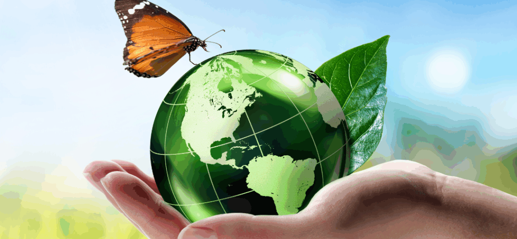 ecolabel produit nettoyage jdnet 77